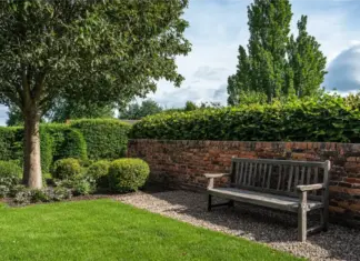 Wie hoch liegen die Gartenpflege Kosten pro Stunde?