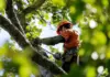 Was kostet Baum fällen? Eine Übersicht